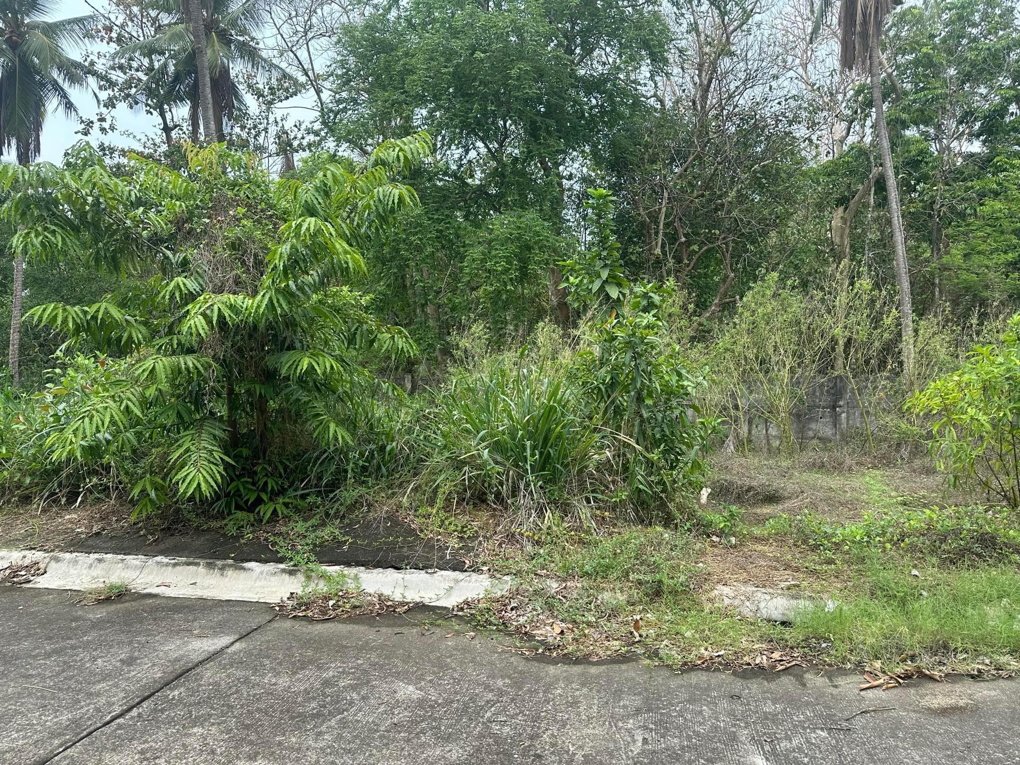 Vacant Lot