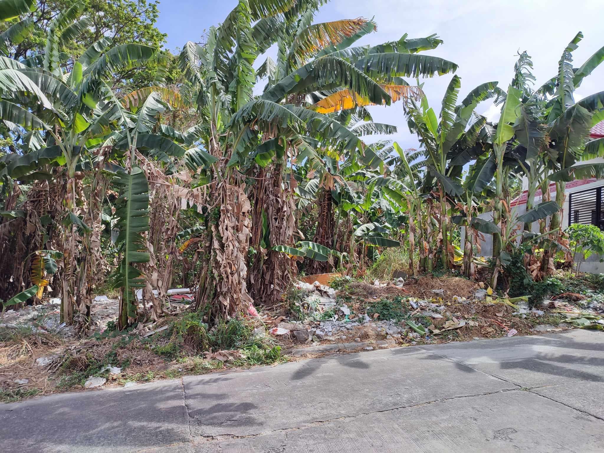 Vacant Lot