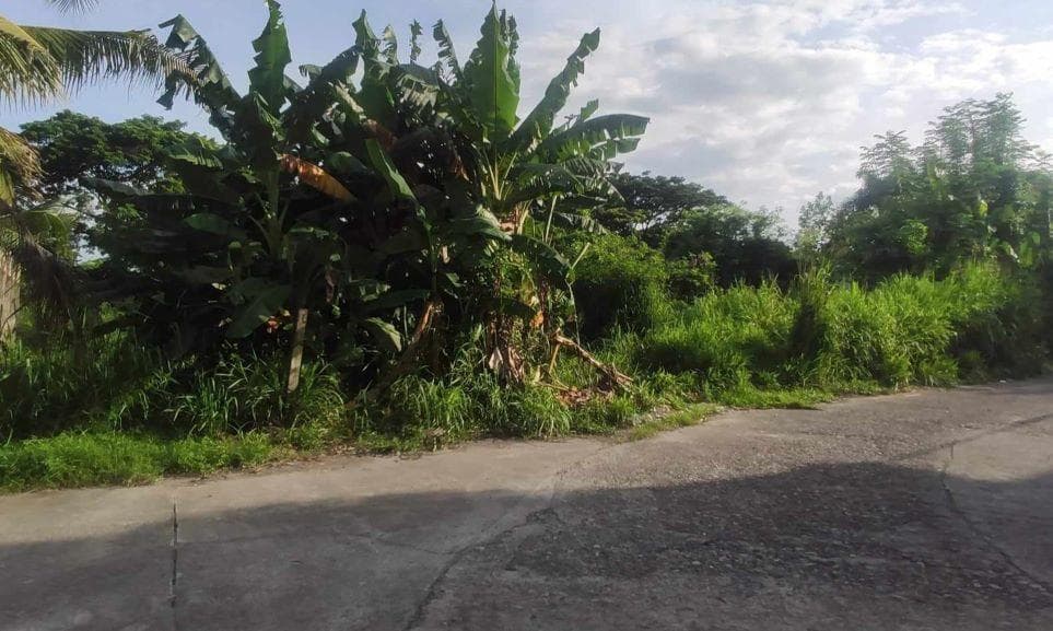 Vacant Lot