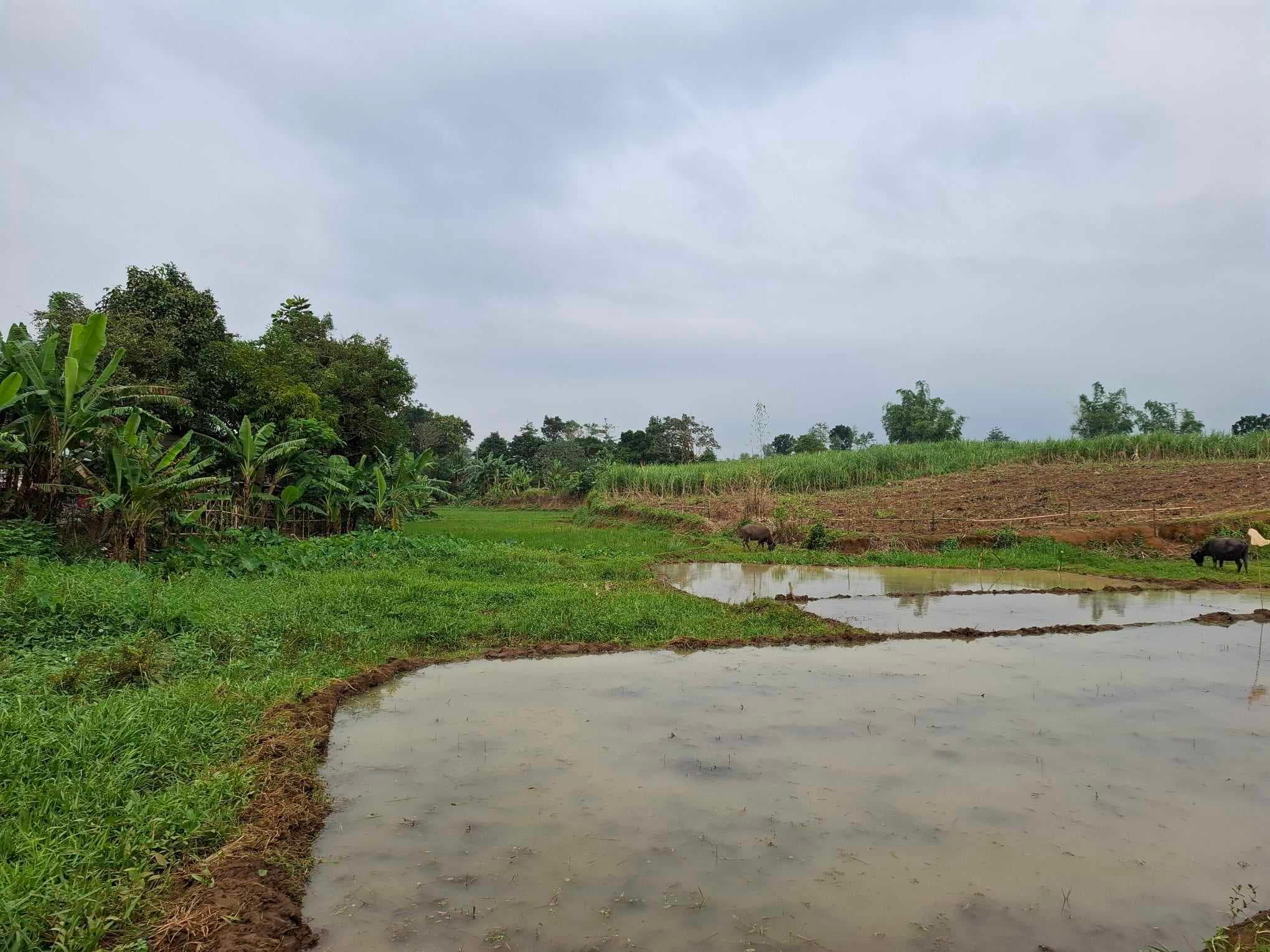 Agricultural, Farm Land, Lot Area: 154104.00 sq. m., Floor Area: 0.00 sq. m.