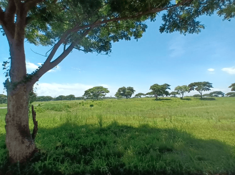 Block 21, Lot 9, Saddle and Clubs Leisure Park Subdivision, Barangay Tanauan, Tanza, Cavite — photo 4