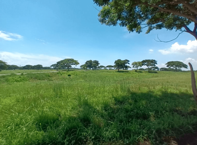 Block 21, Lot 9, Saddle and Clubs Leisure Park Subdivision, Barangay Tanauan, Tanza, Cavite — photo 3