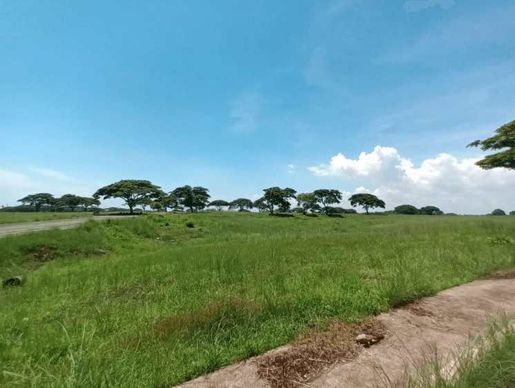 Block 21, Lot 9, Saddle and Clubs Leisure Park Subdivision, Barangay Tanauan, Tanza, Cavite — photo 2